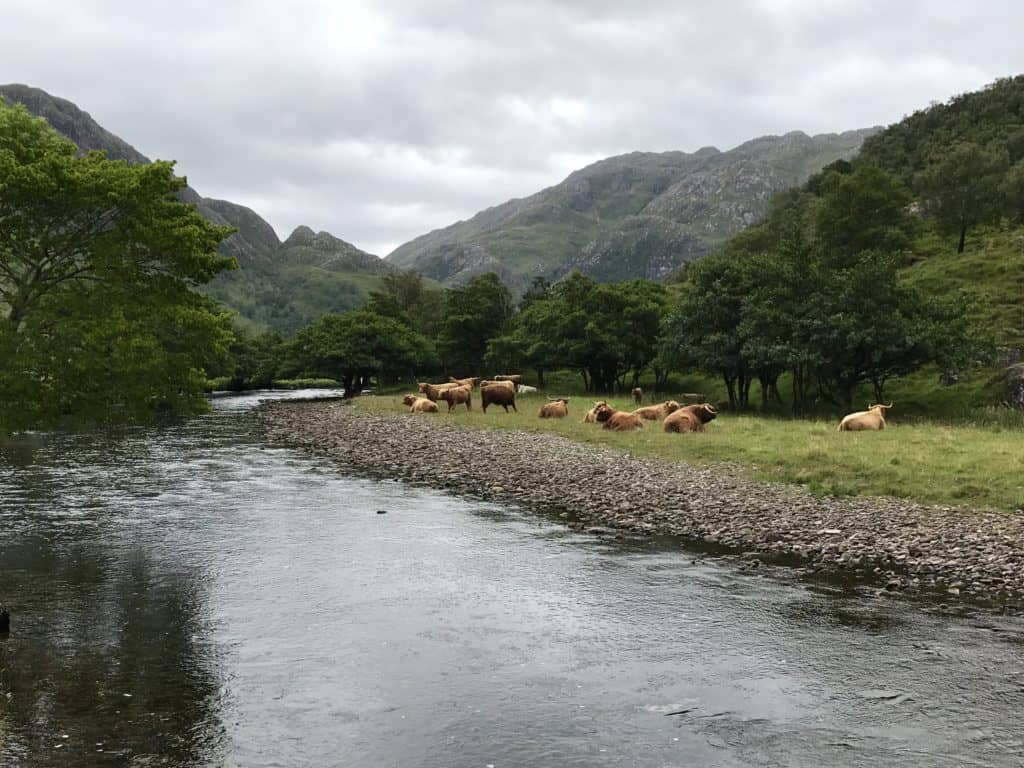 Scotland Road Trip