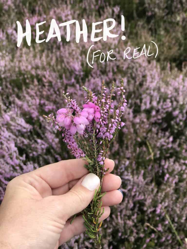 Scotland road trip