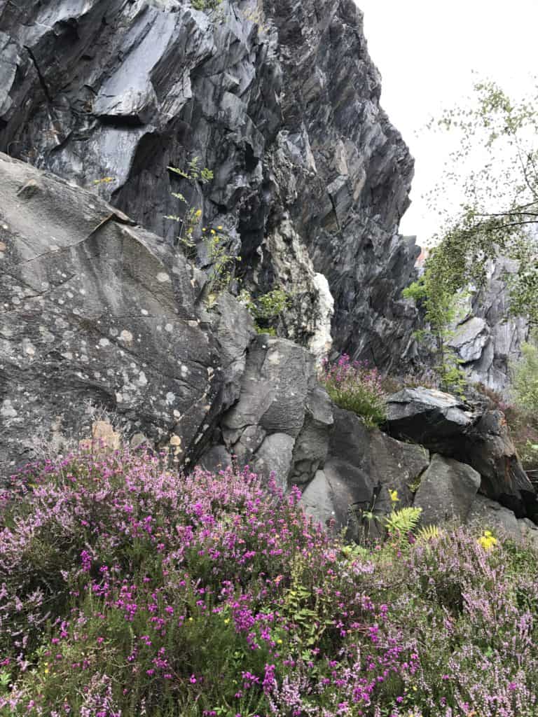 Scotland Road Trip