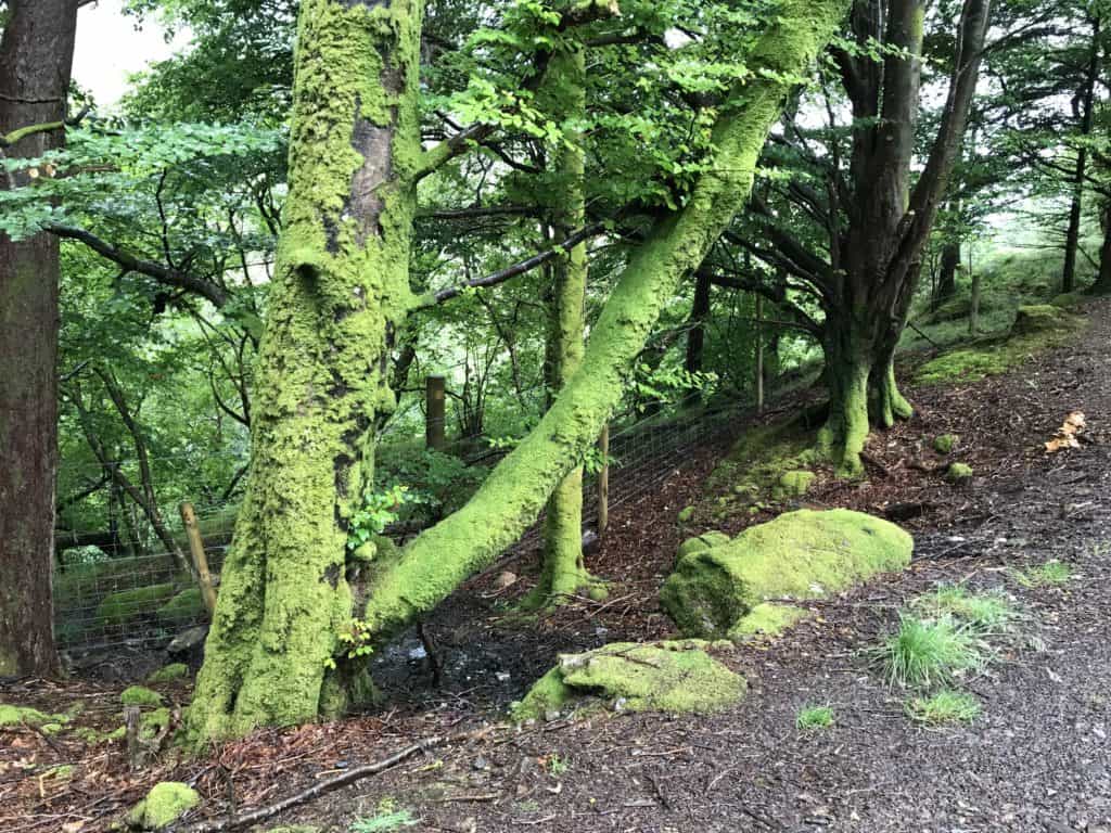Perfect scotland road trip