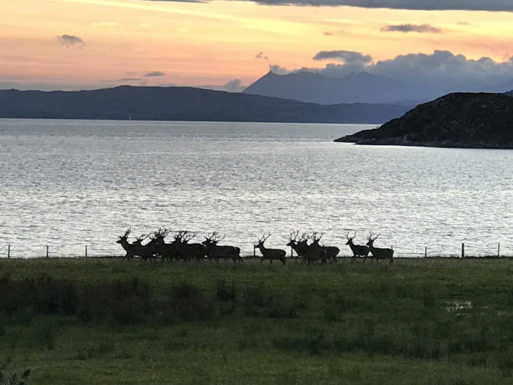 Scotland Road Trip