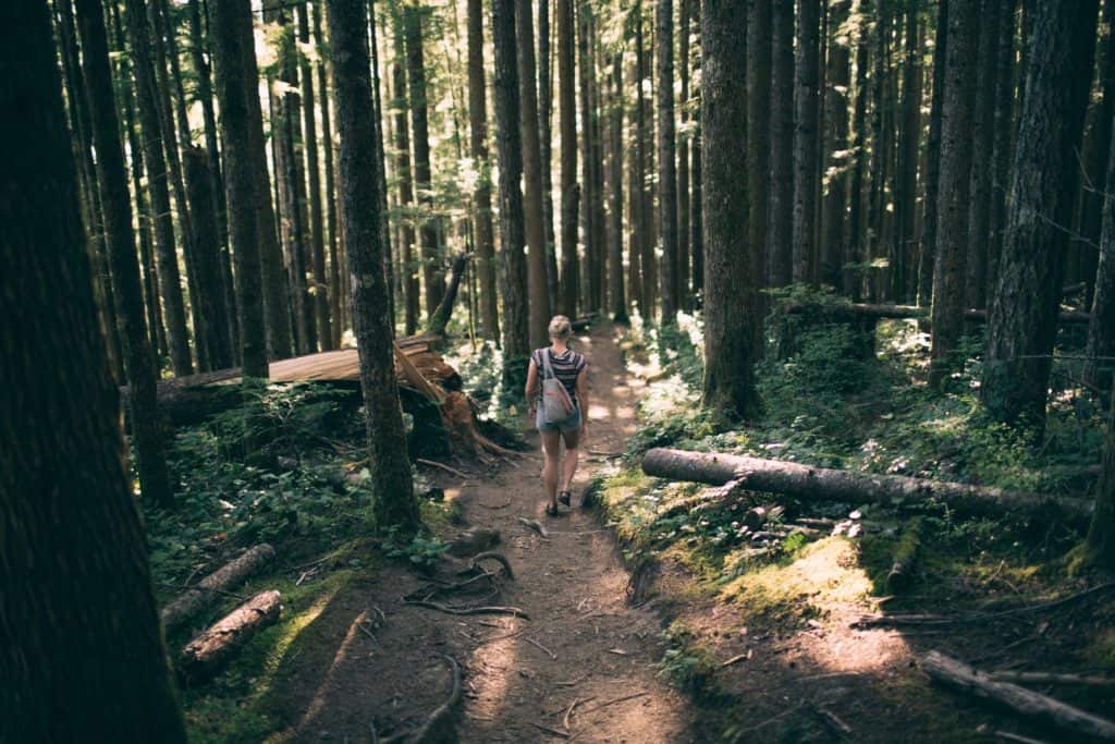 Stay Healthy While Traveling