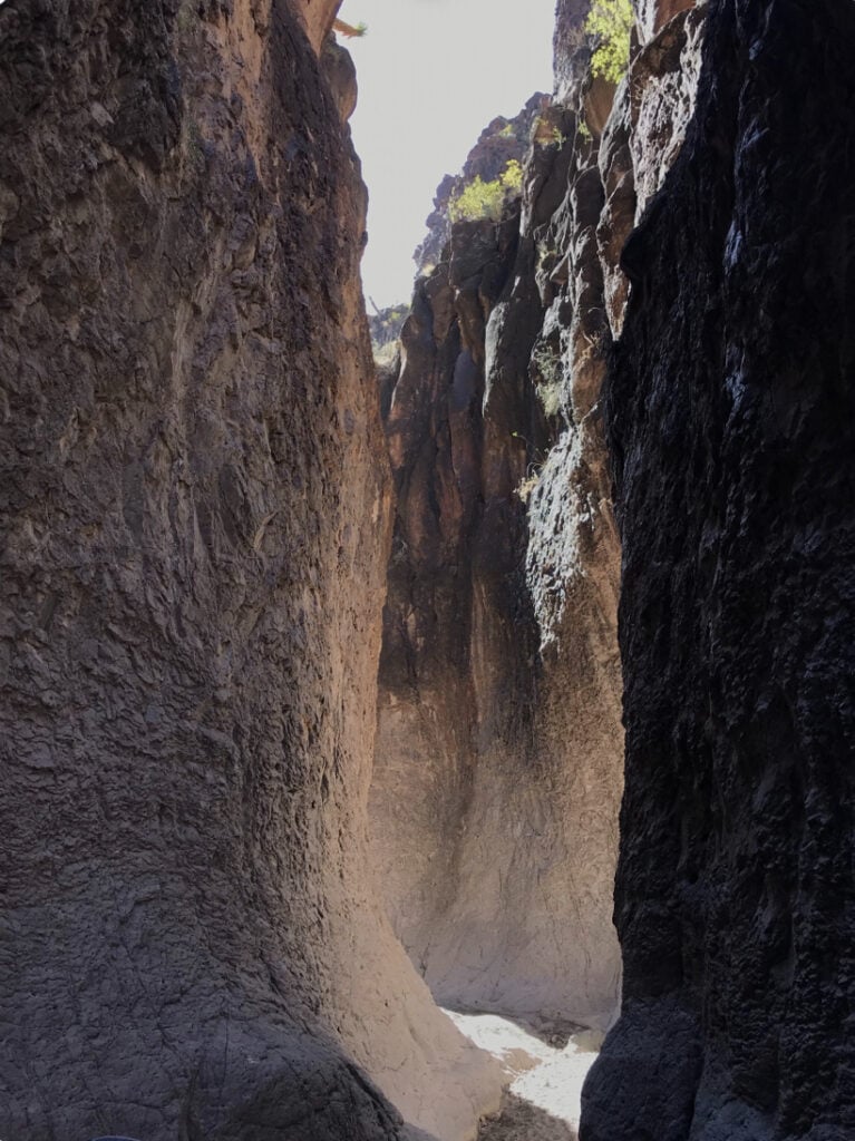 Hiking Big Bend State Park
