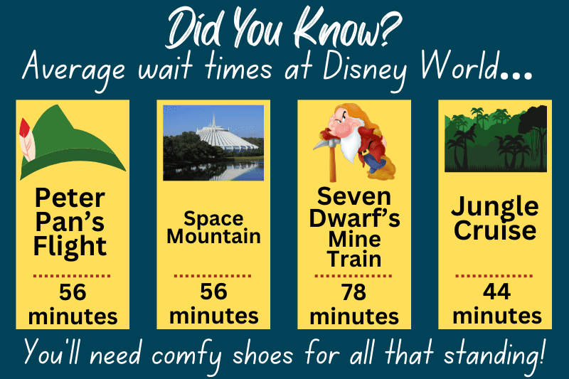 Average Disney line wait times-have good shoes for standing on concrete