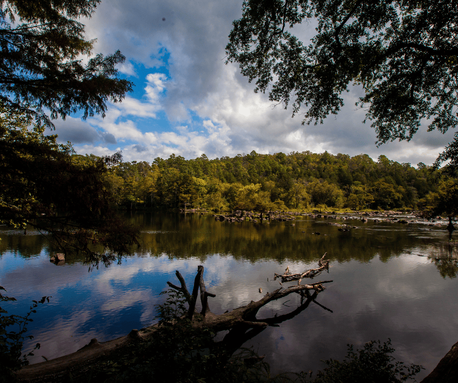 pet friendly cabins beavers bend