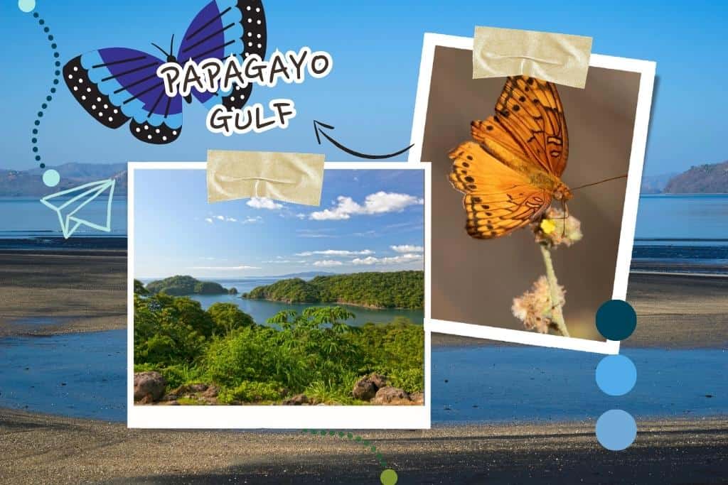 best places to stay in costa rica for families for amazing beach and wildlife adventure