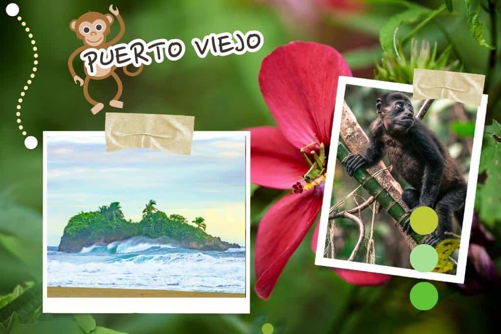 where to stay in costa rica with tropical scenery and exotic wildlife